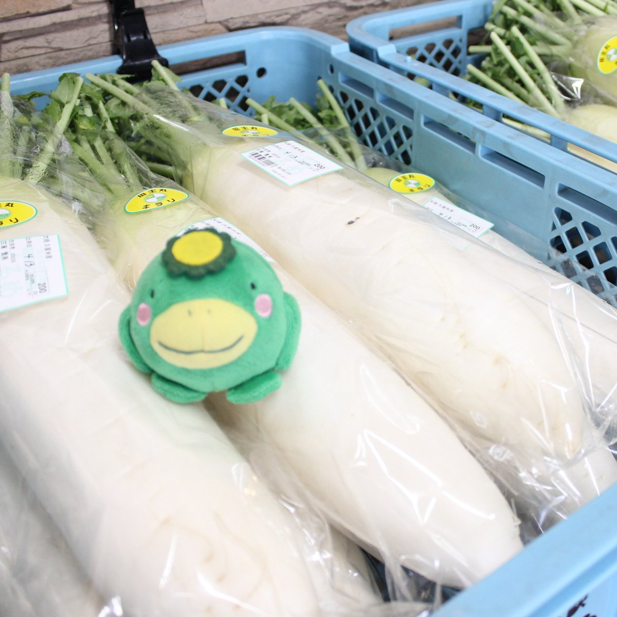 ほとめきの里 道の駅くるめ tweet media