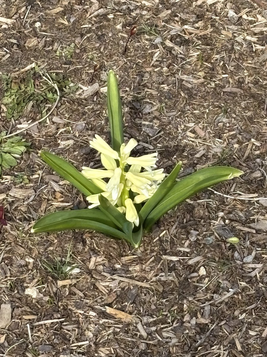 Prisere LLC tweet media