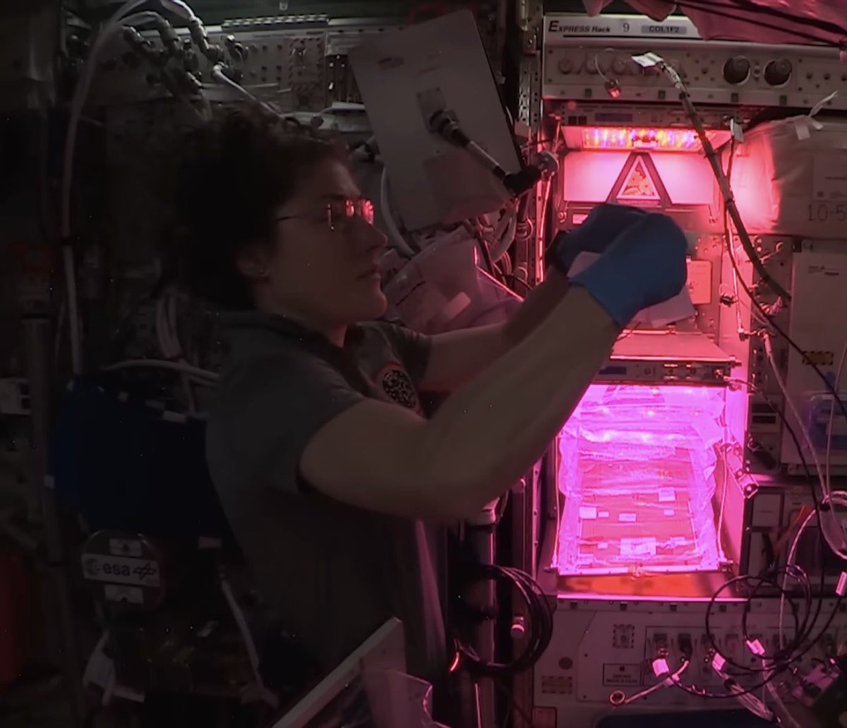 jules the ninth ! deadloch pr manager tweet media