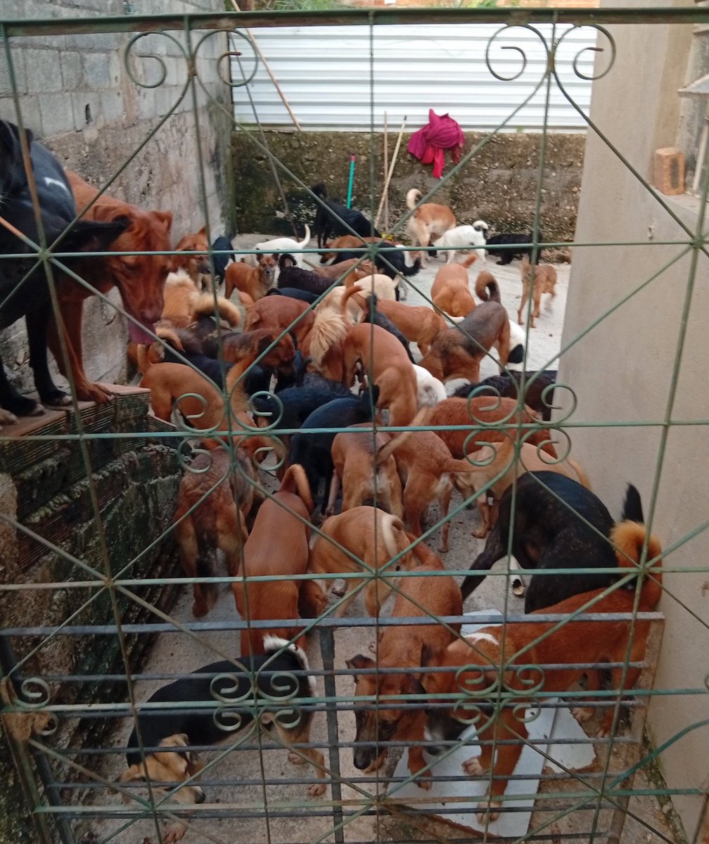 kaarolzx tweet media