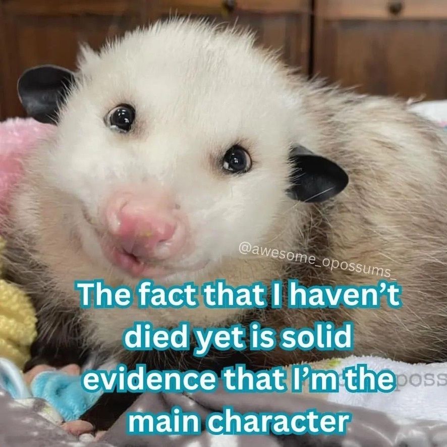 Snaggletooth Screamer tweet media