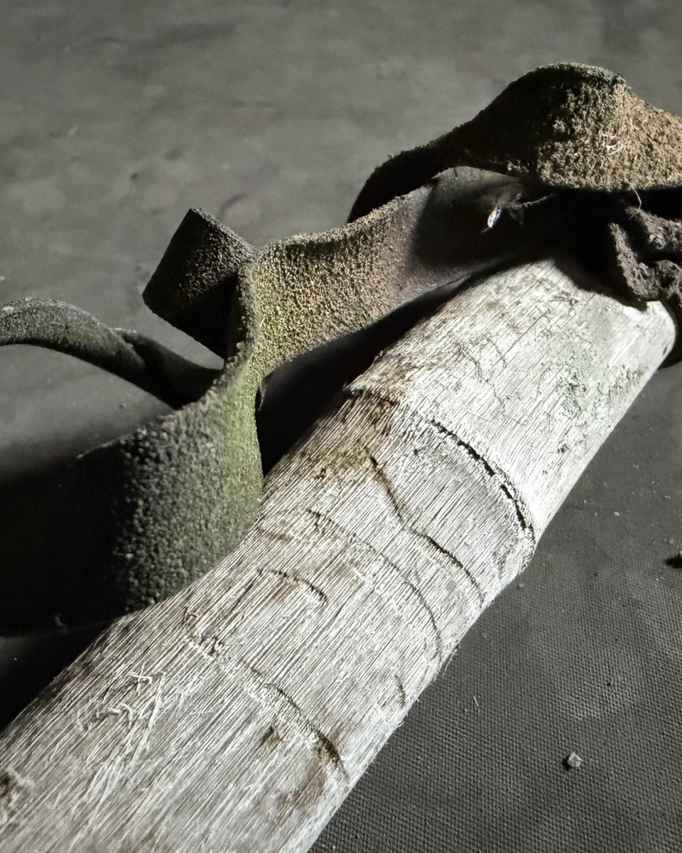 InspireExplore's tweet photo. #OTD is the International Day for Monuments and Sites and we are proud to care for five explorer bases designated as Historic Sites and Monuments under the Antarctic Treaty.

One of the most remarkable discoveries from the archaeology survey at Cape Evans this season emerged when Archaeologist Emma St Pierre uncovered a ski pole with hand carved initials on them, belonging to Patrick Keohane, a Petty Officer on Scott’s Terra Nova expedition.

Patrick Keohane was one of several Irishmen selected by Captain Robert Falcon Scott for the British Antarctic Terra Nova expedition (1910-1913), and one of 15 men chosen to set out with Scott from their Cape Evans base on the 900-mile journey to the South Pole.

Keohane initially assisted with the ponies before moving into the man hauling sled teams once the ponies had been put down. Although disappointed to be turned back 350 miles short of the Pole, this decision ultimately saved his life, as the small polar party that continued sadly never returned. Keohane later joined the search party that found the bodies of Scott, Dr Edward Wilson and Lieutenant Henry Bowers in their tent.

“Finding this ski pole was the highlight of my season on the Ice. It is rare to uncover an item that can be directly linked to an individual, so this felt incredibly special. To find it amongst all the bamboo scattered around the site was a real moment. Thinking that this pole may have been used during Scott’s journey to the Pole is both exciting and deeply meaningful,” said Emma.

Keohane was commemorated for his part in the 'Terra Nova' expedition 100 years later when a bronze statue was commissioned and unveiled overlooking his birthplace in Courtmacsherry, West Cork, Ireland.

Keohane’s ski pole has been stabilised for interim storage and will be scheduled for conservation work in the upcoming season.

📷 The ski pole discovered this season belonging to Patrick Keohane, with the initials PK visible. �� AHT/Zack Bennett.
Bronze statue of Patrick Keohane at Courtmacsherry. Photographer unknown