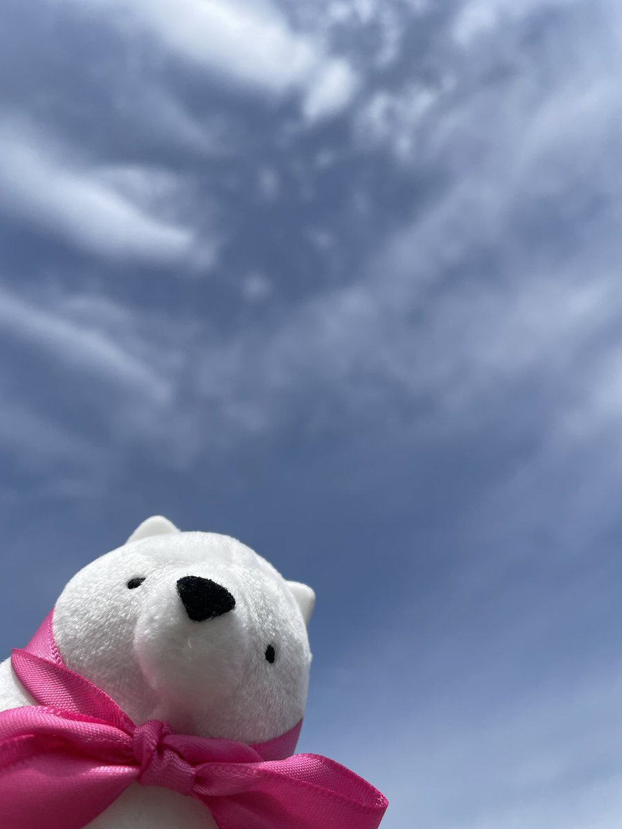 おはようございます☀️

急に気温が上がりましたね、、
服装悩む〜😕
調整できる上着で体調崩さないようにしましょうね！

本日もよろしくお願いします🙇‍♀️

#ドリムー
#企業公式ぬい撮り部