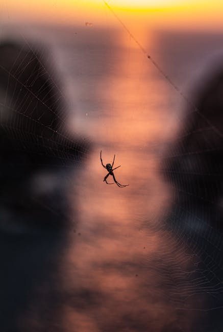 Christopher Mcclure tweet media