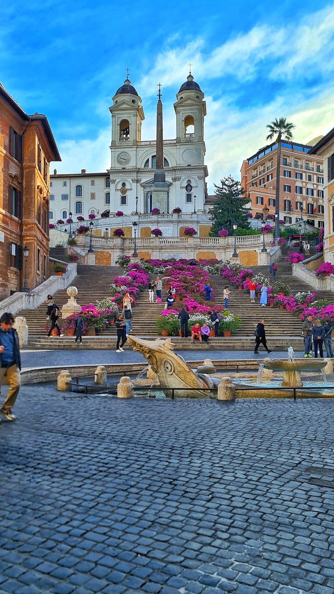 Wander Aesthetic tweet media