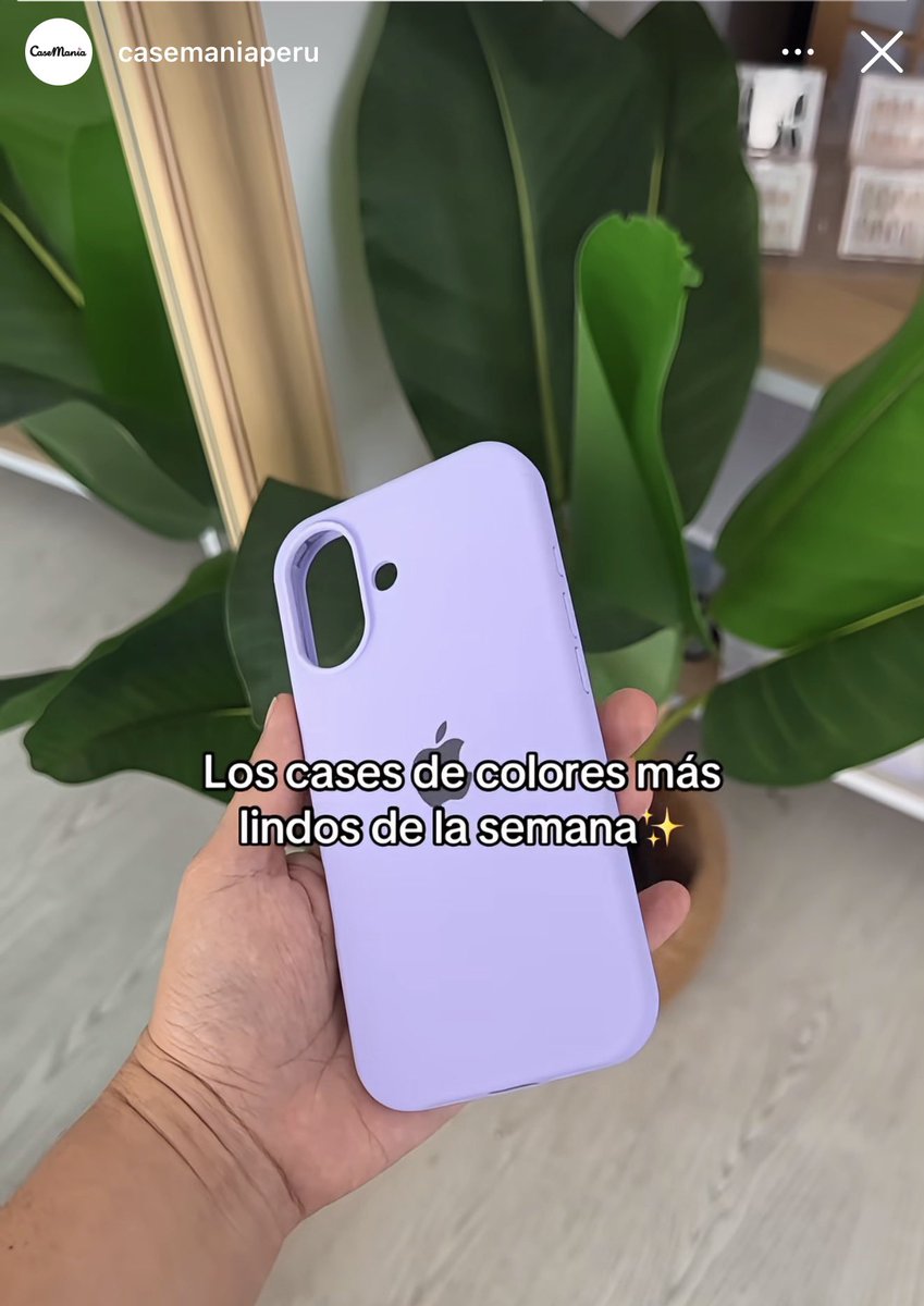 Cóndor ganso tweet media