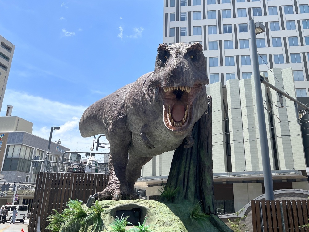 福井県観光連盟 tweet media