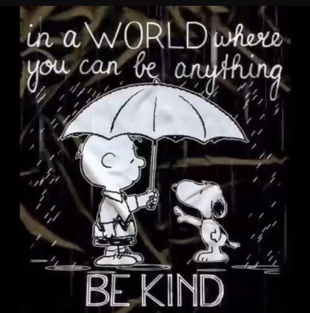 Kylie Riordan tweet media