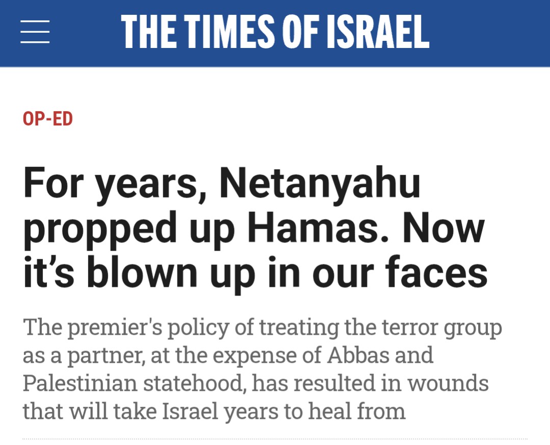 Bernardo Gonzalo tweet media