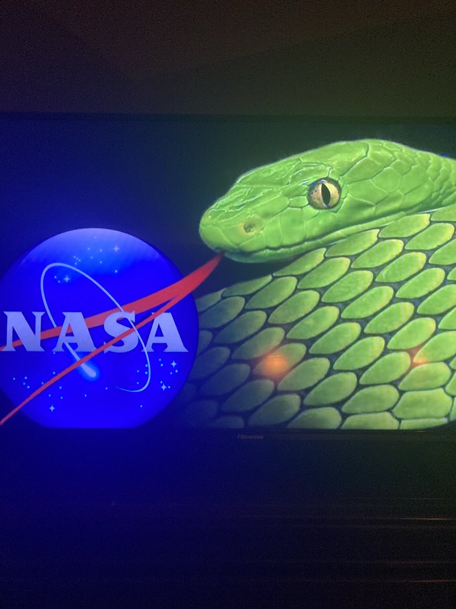 Rushmoon23 tweet media