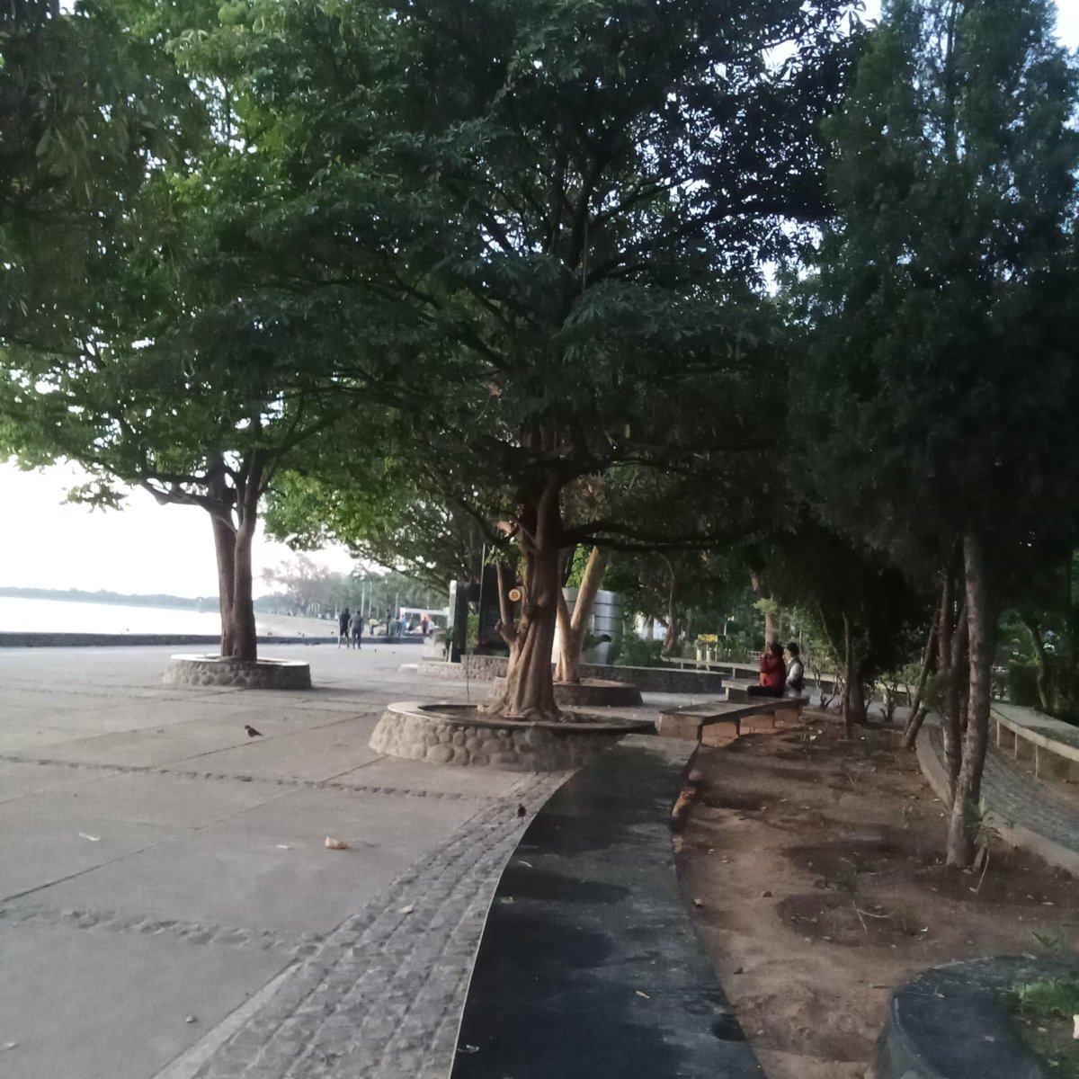 Crown👑🎊♥️🎵 tweet media