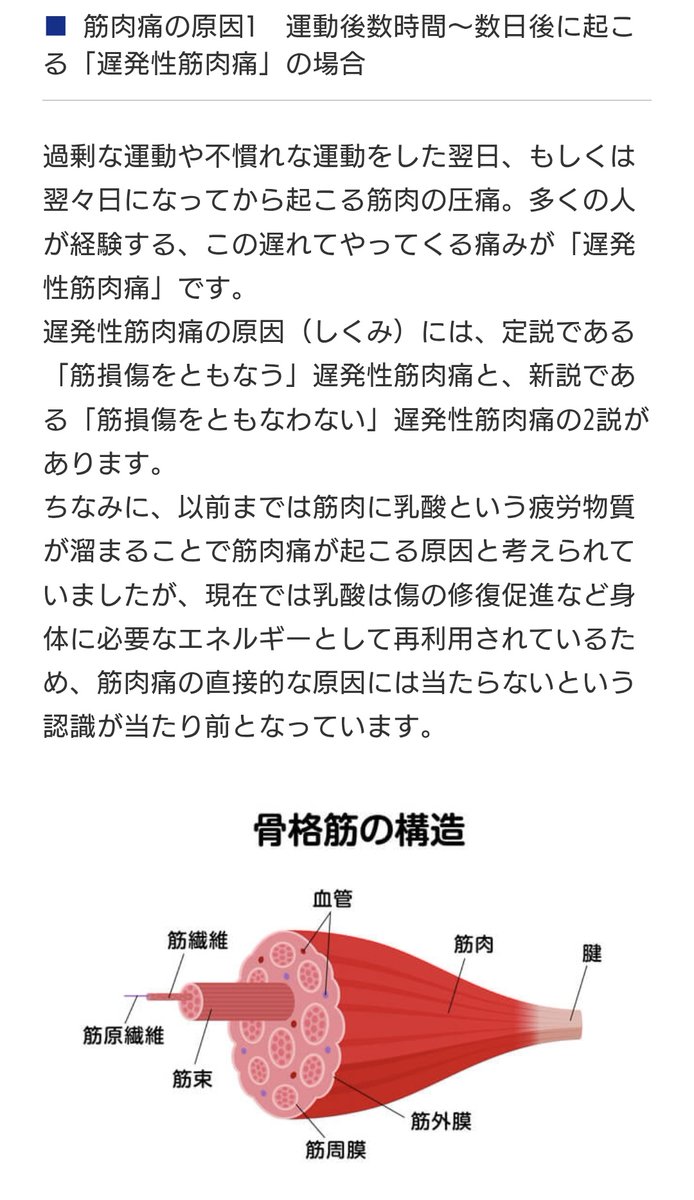 すぷろ(+) tweet media