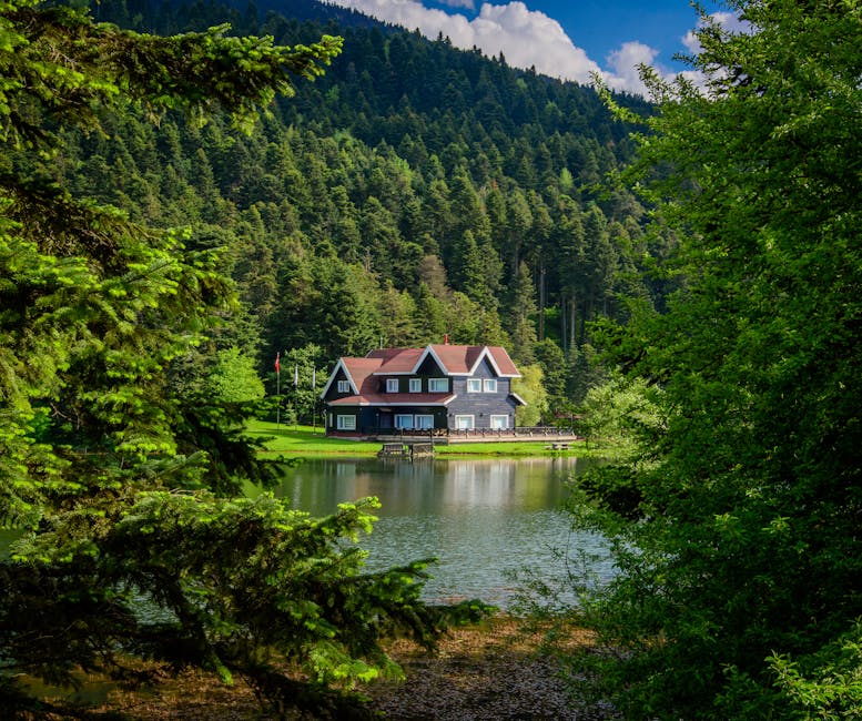 Ian Dunn tweet media