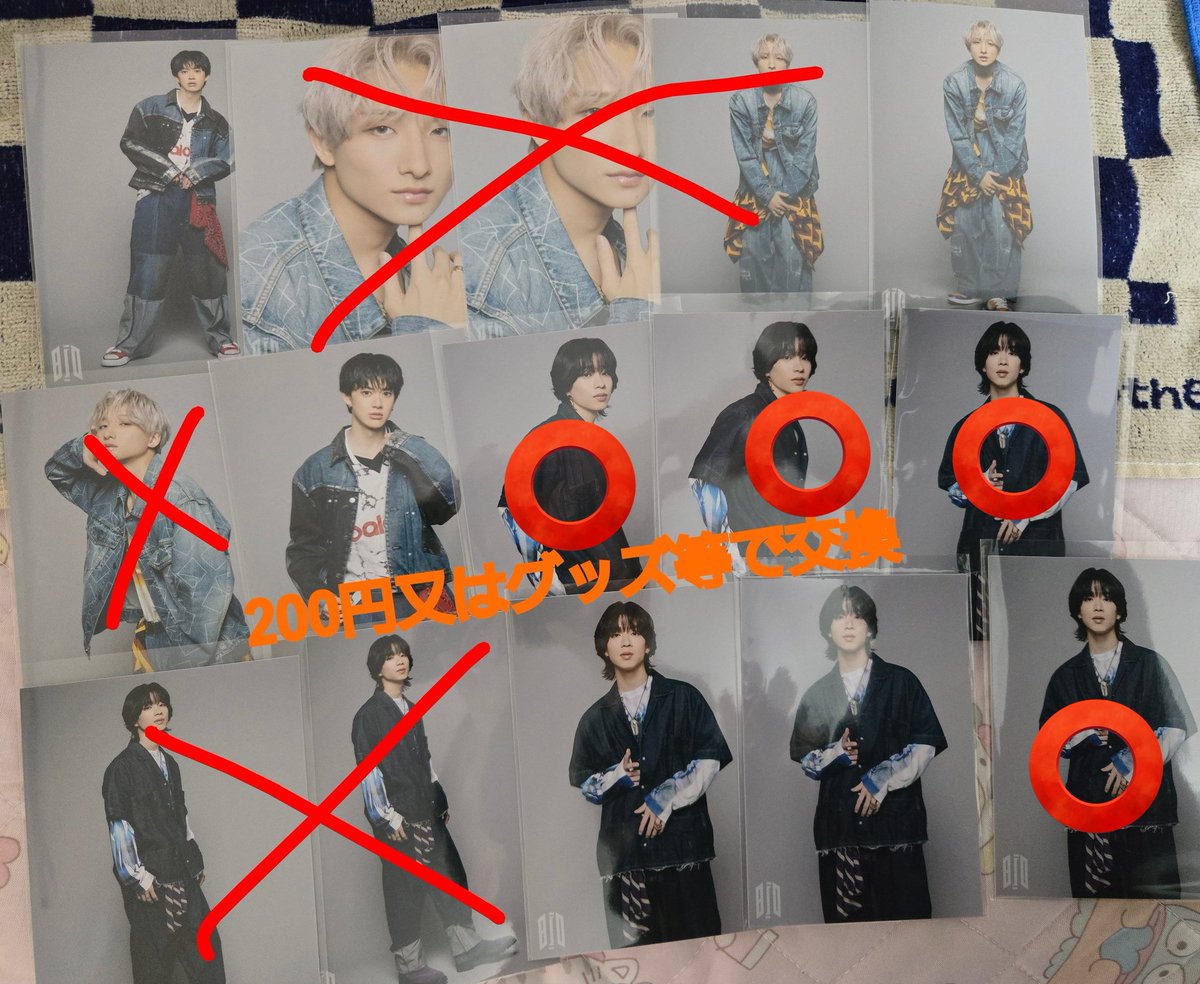 しゆ(虫)🪲⸒⸒ tweet media