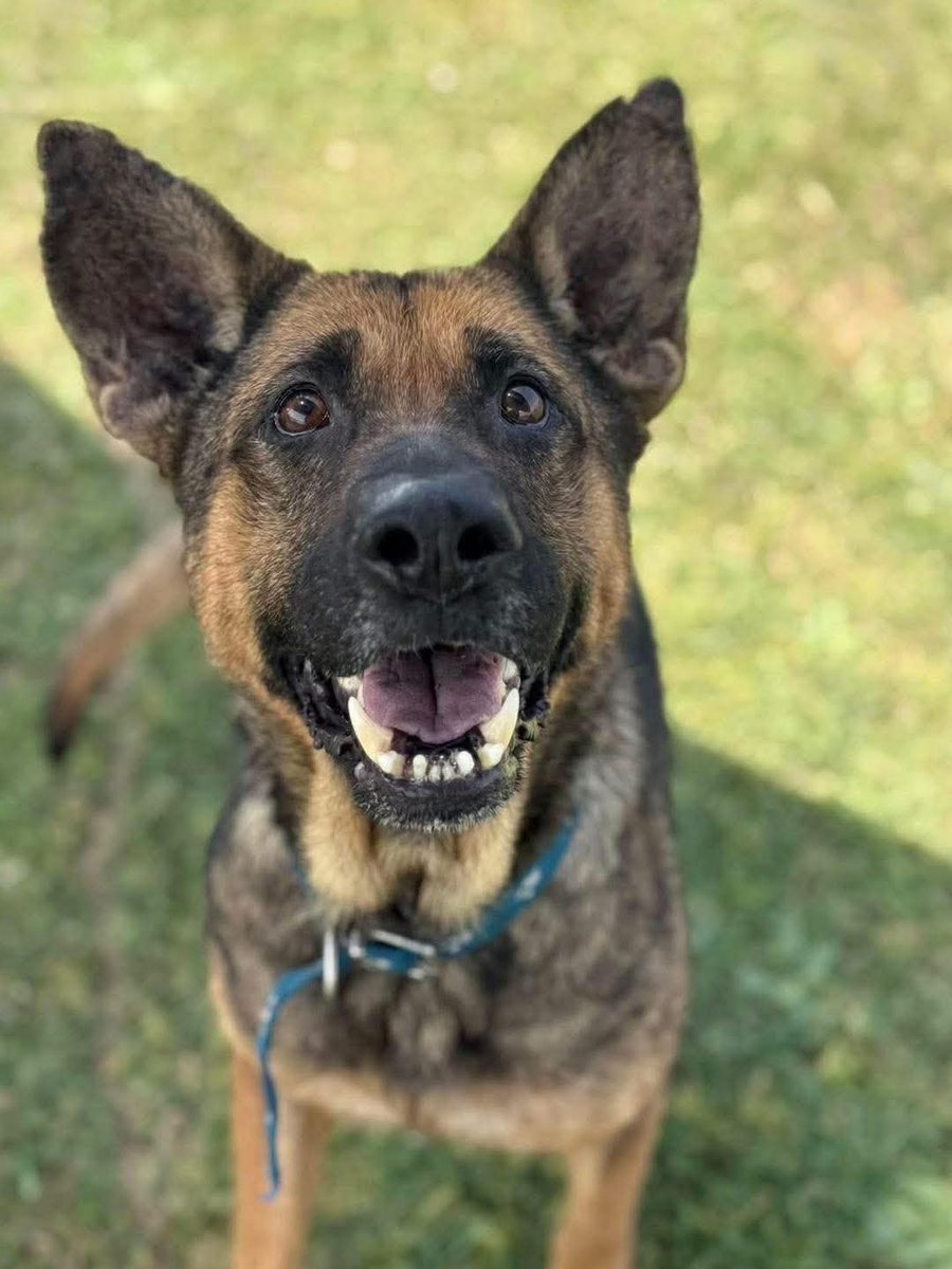 El Campito Refugio tweet media