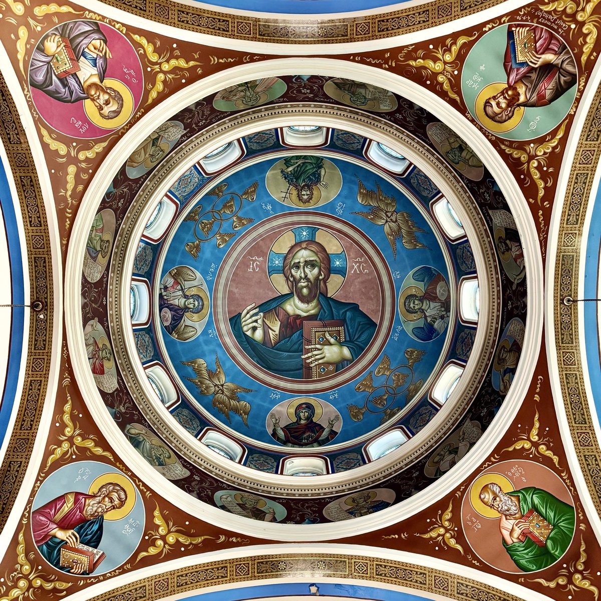 Mr. Illinois tweet media