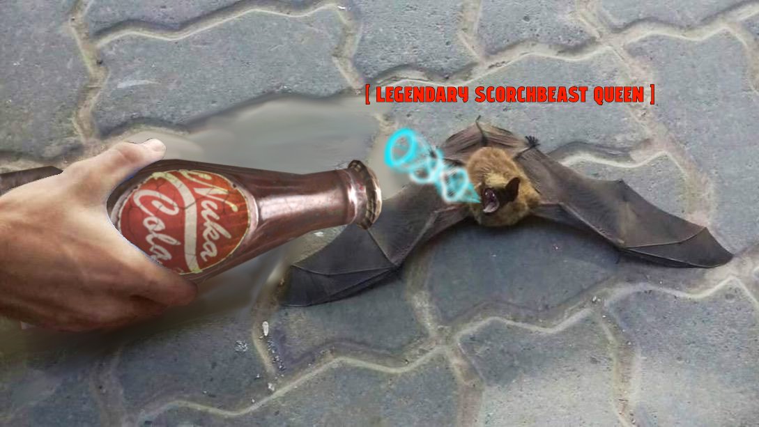 Sheepsquatch tweet media