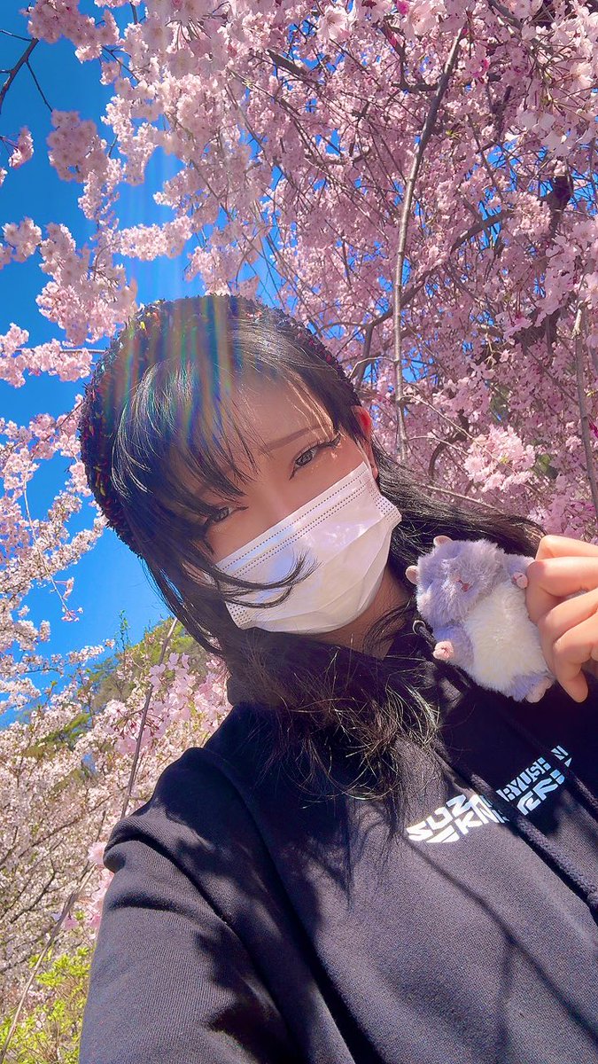 めんま🎍 tweet media