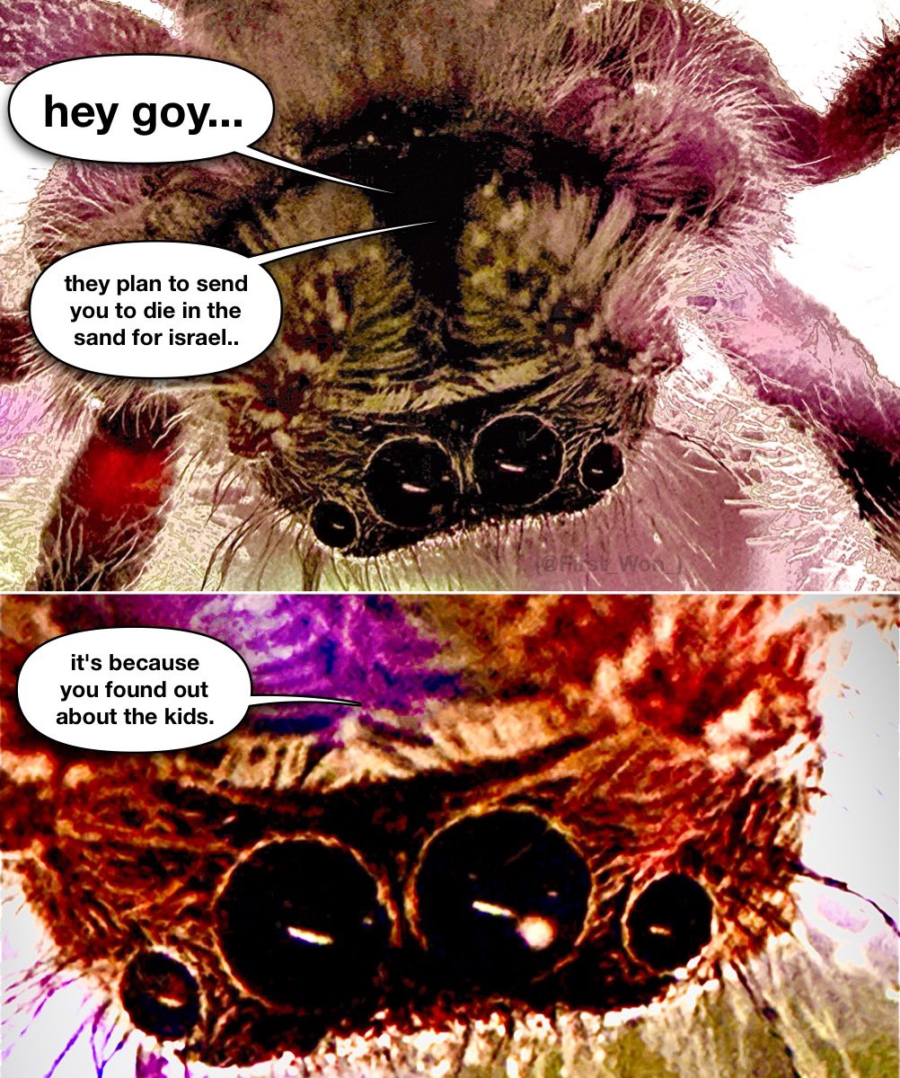 FirstWon tweet media