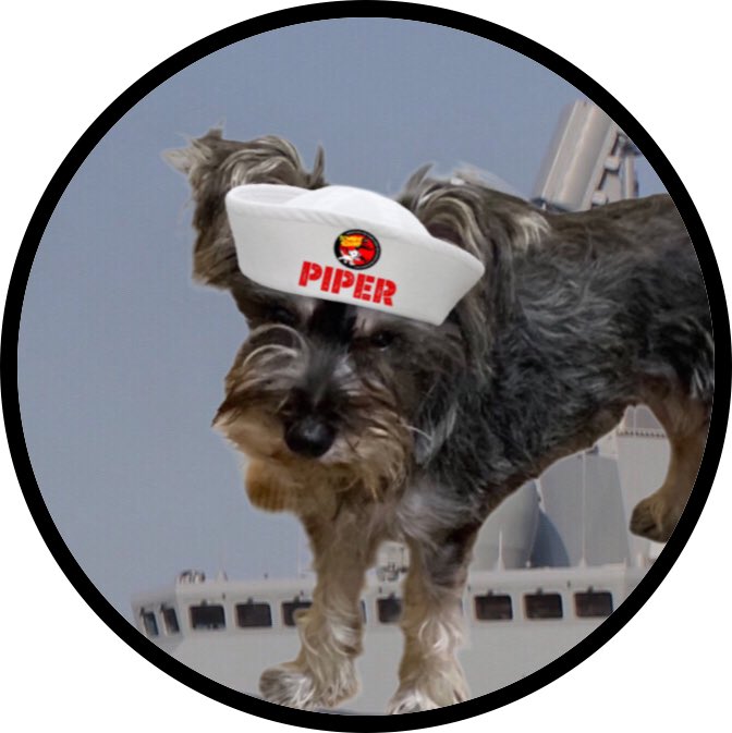Burrow43's tweet image. Ahoy Piper @AnneKindley3 welcome to #ZSHQ , we have prepared your pawtrol kit, bark when you need support from @ZombieSquadHQ  *salute*