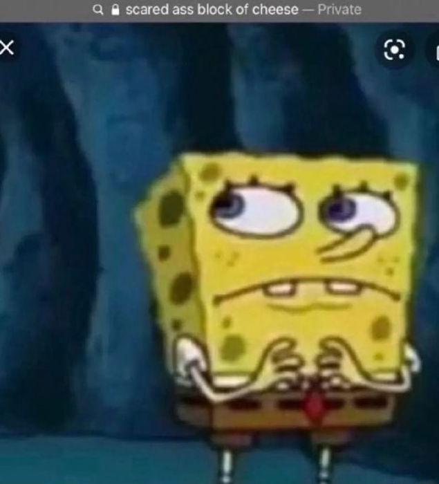 𝕽𝖎𝖋𝖙𝖟 tweet media