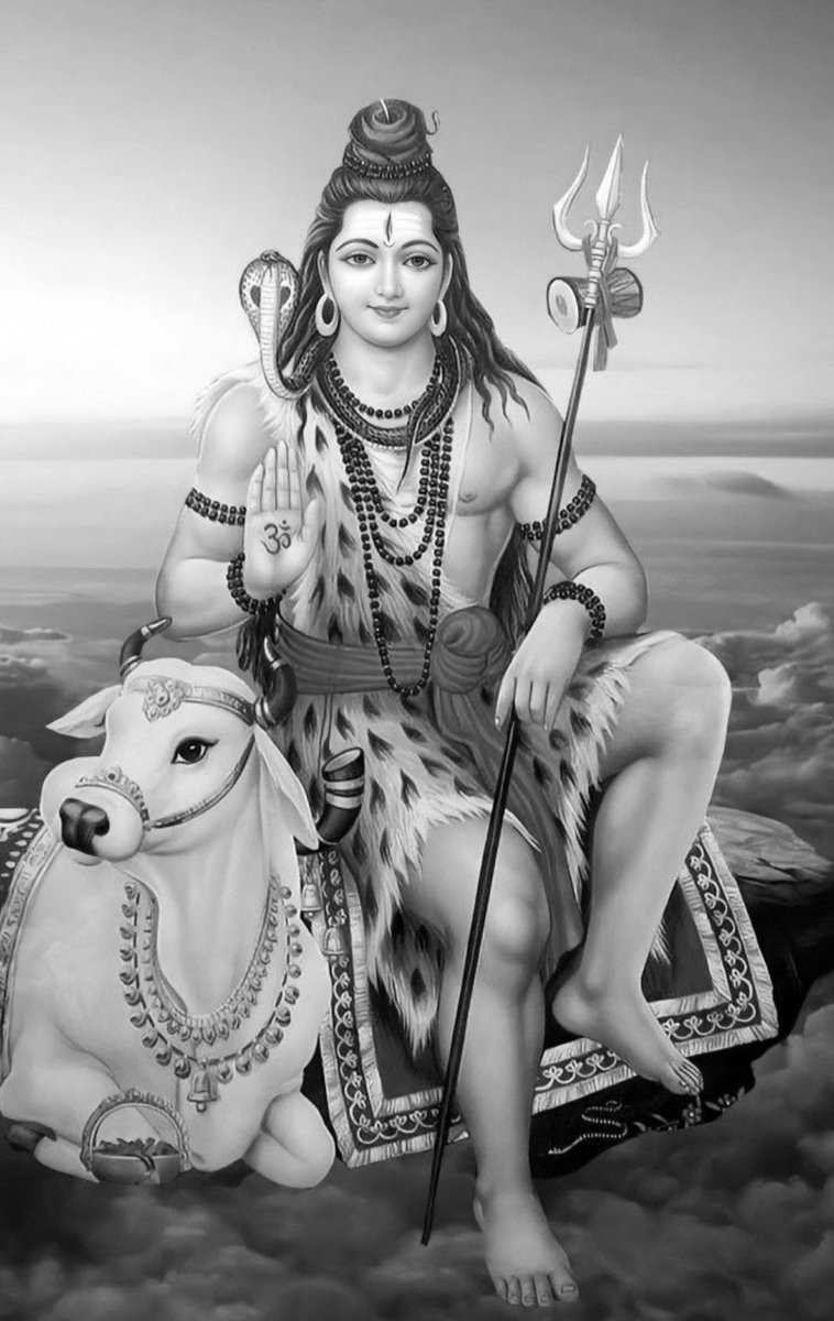 Survi Rawat tweet media