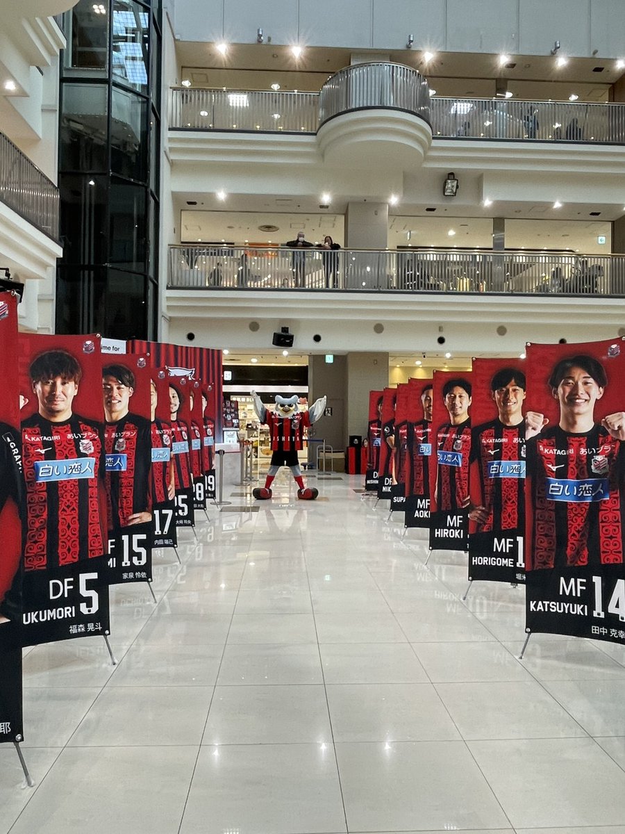 ドーレくん☆ tweet media