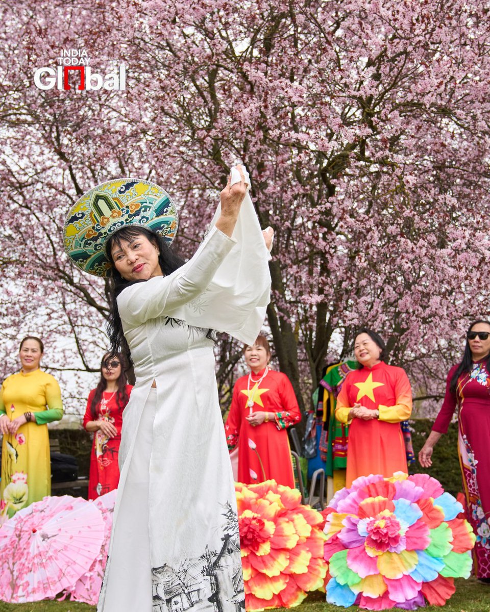 IndiaToday's tweet image. #InPics | People enjoy blooming cherry blossoms at the Cherry Blossom Festival in the Gardens of the World as the season begins in Berlin.
#CherryBlossomFestival #CherryBlossoms #Berlin #SpringSeason #SpringInBerlin #Sakura #Germany #BloomingSeason #GardensOfTheWorld
