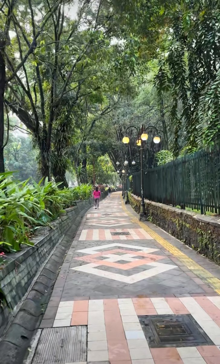 Prety Ninjas tweet media