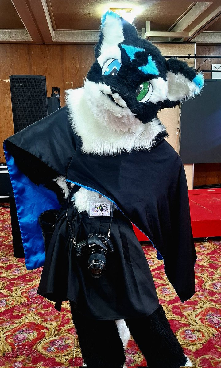 低使(ひくし) tweet media