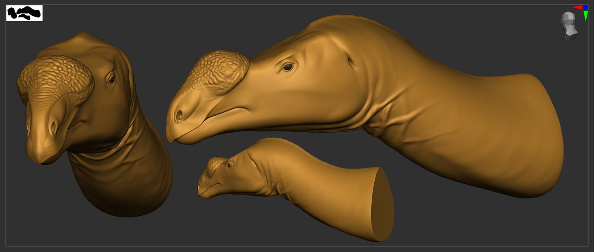 Muttaburrasaurus - Sketch