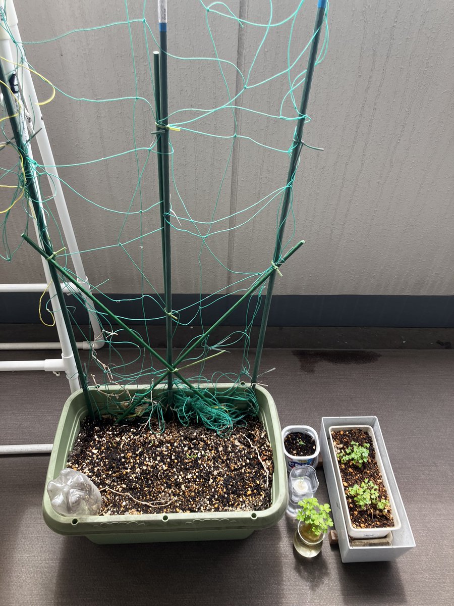 五十嵐 徹 tweet media