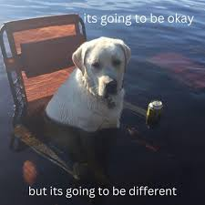 aspen 🦴🦮 tweet media