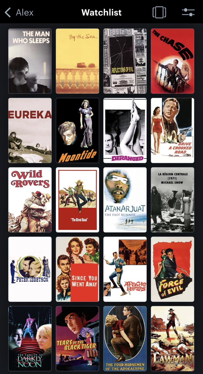 alex lei tweet media