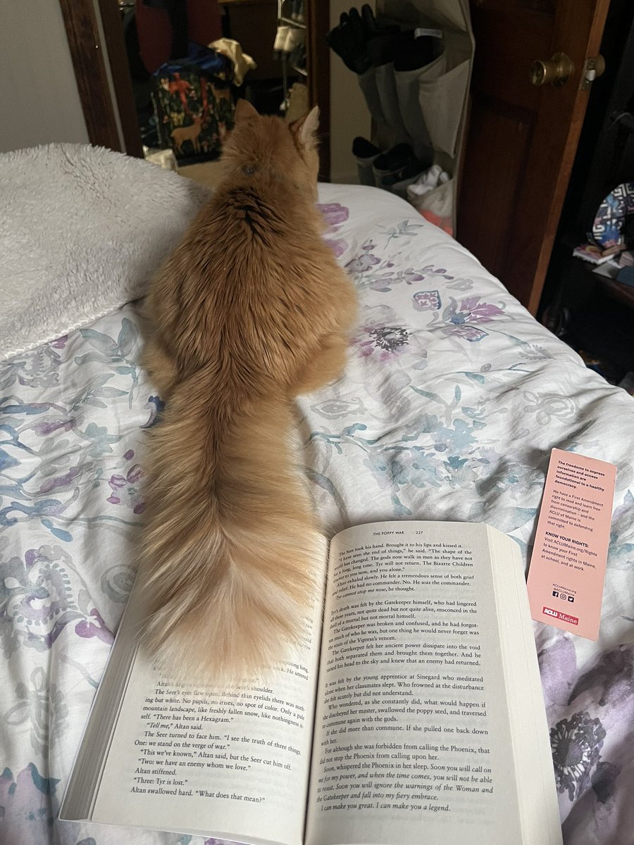 liz ❤️‍🔥 tweet media