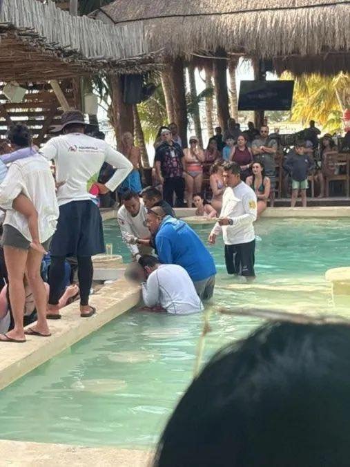 ⚠️ Tragedia en Isla Mujeres
Un menor de edad falleció tras ser rescatado inconsciente de una piscina en el club de playa Zaza Beach Club, en Isla Mujeres
Pese a intervención de paramédicos, no lograron reanimarlo. Autoridades ya investigan los hechos