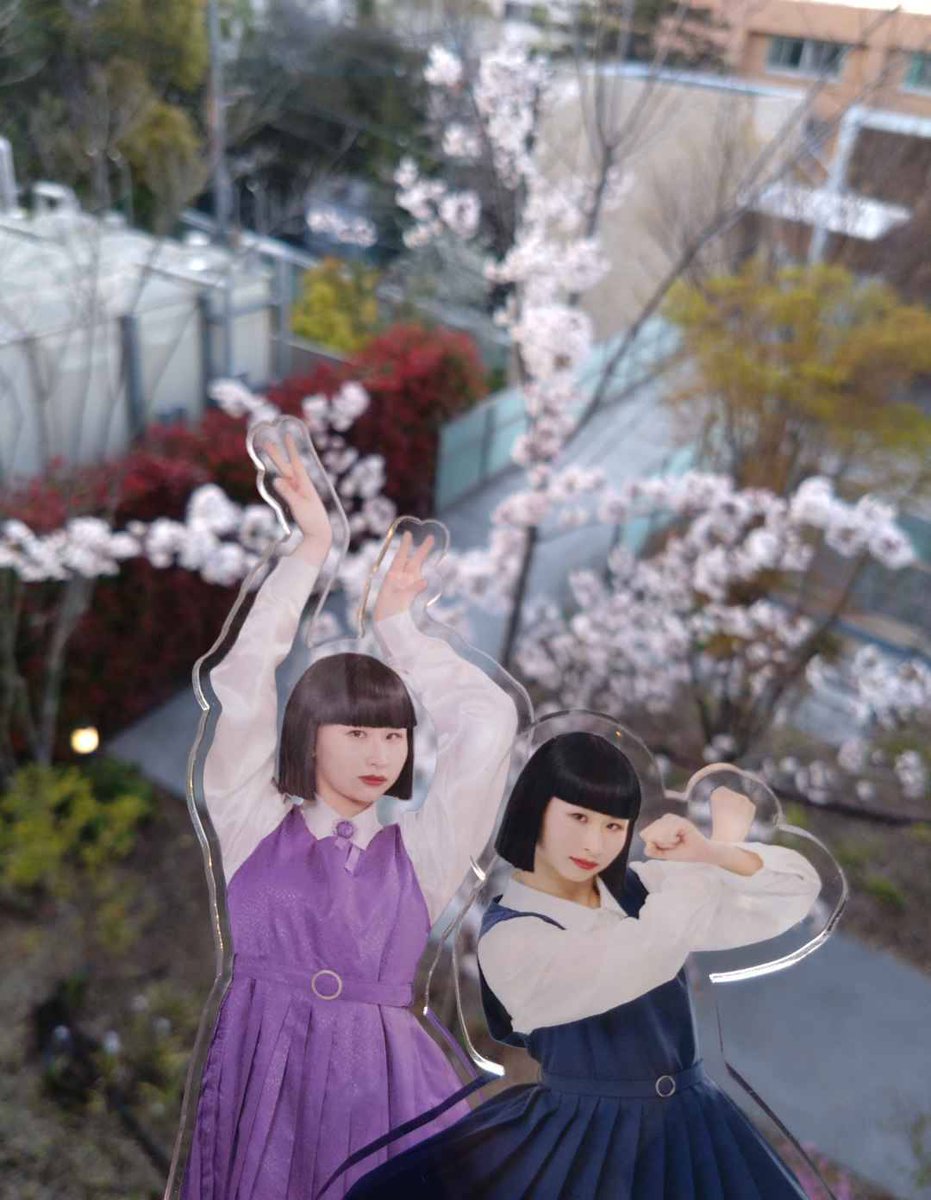 ドロドロどろんこ🐶 tweet media