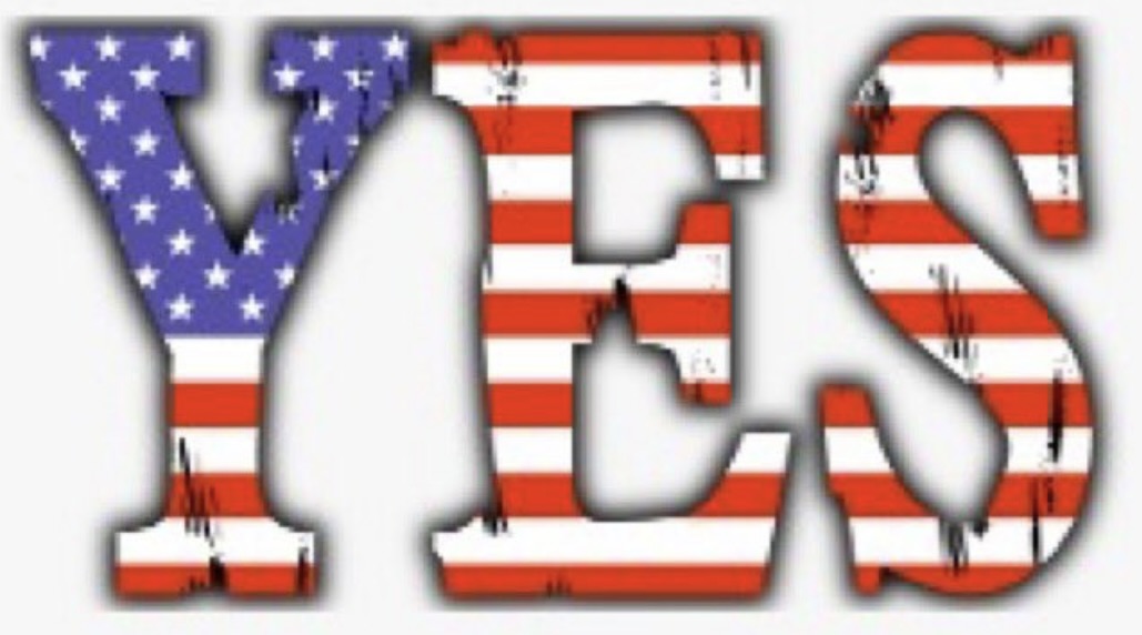 Basia🇵🇱 🇺🇸 🐾🐈‍⬛ tweet media