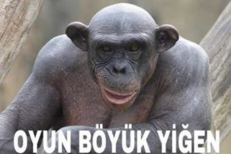 Önder Atar tweet media