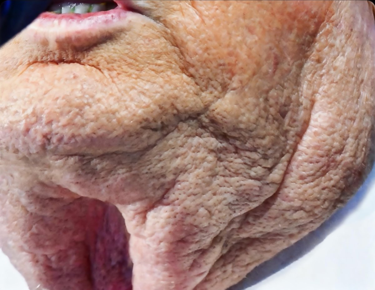 S. Blackwood | Briefs tweet media