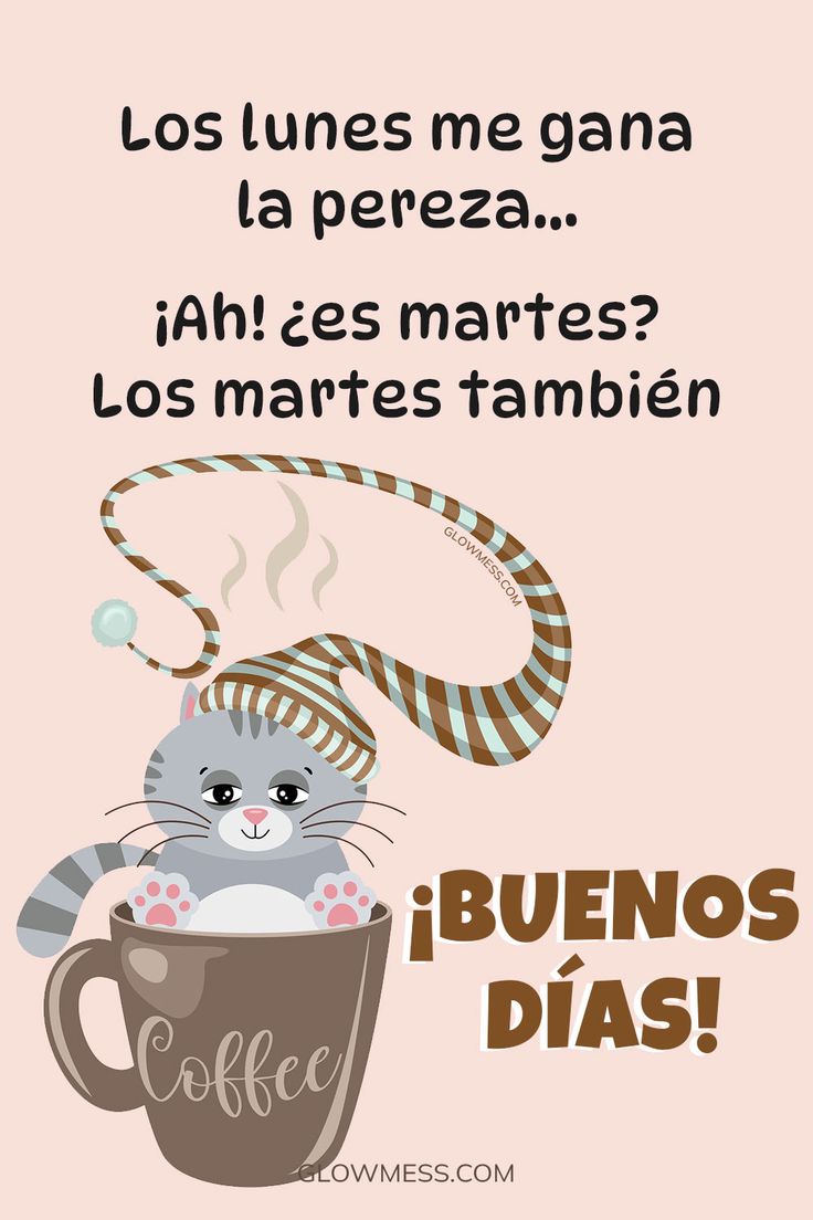 Stela86🇪🇸 tweet media