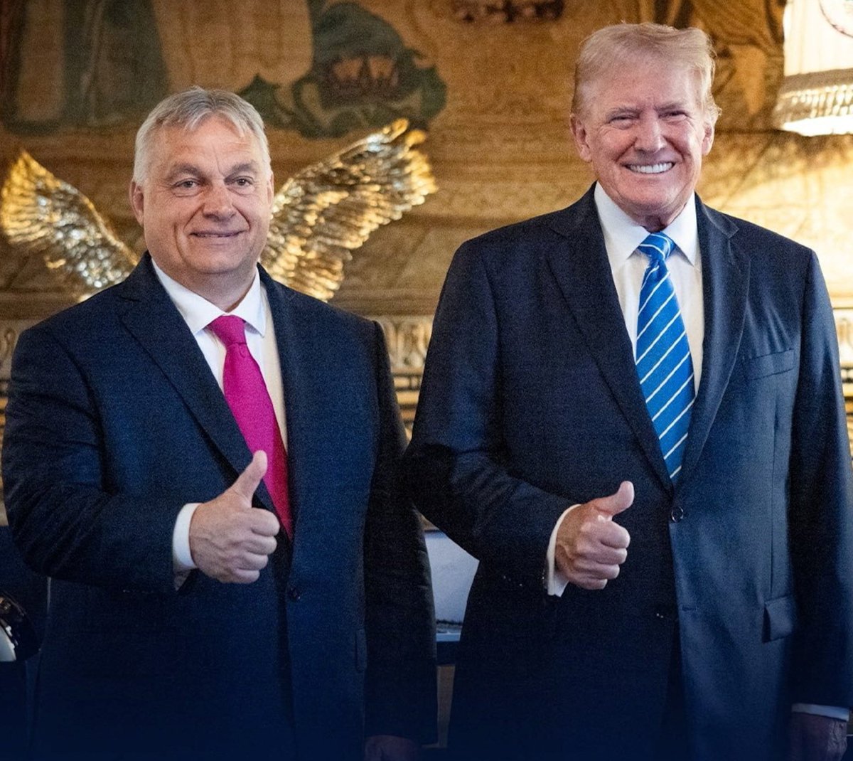 El Necio tweet media