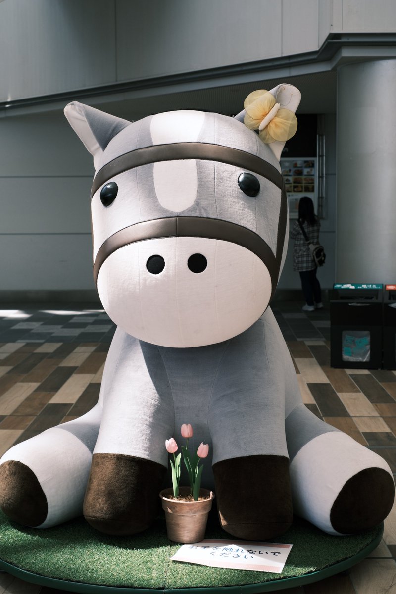 かヲる tweet media