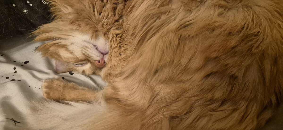 Ирландский герой О'Леннис tweet media