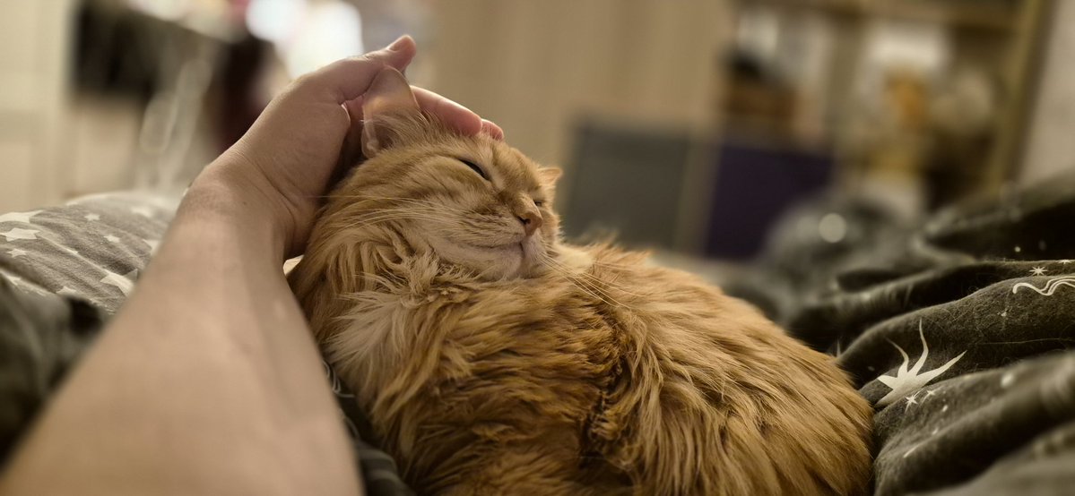 Ирландский герой О'Леннис tweet media