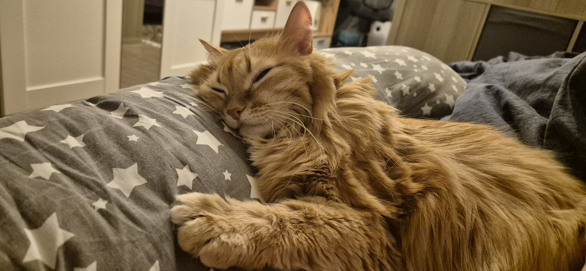 Ирландский герой О'Леннис tweet media