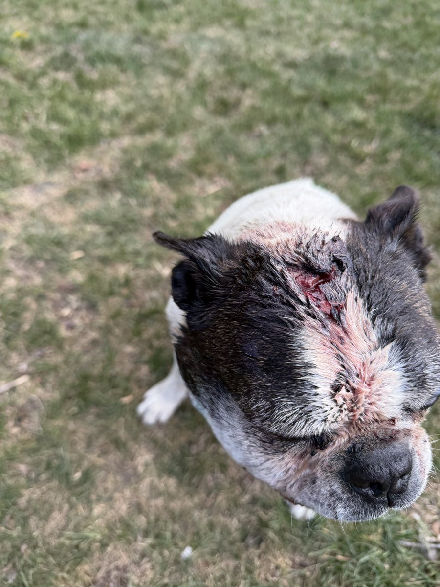 Dale Weaver tweet media