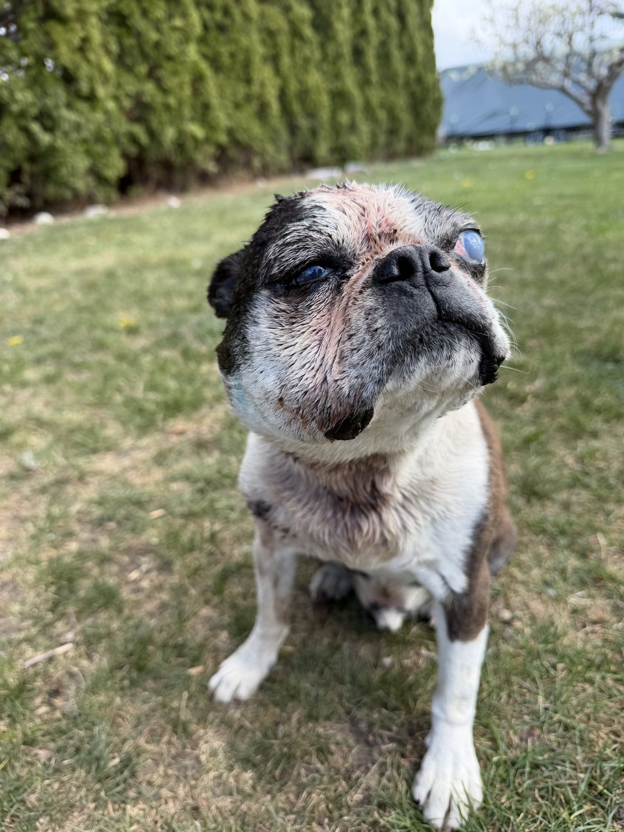 Dale Weaver tweet media