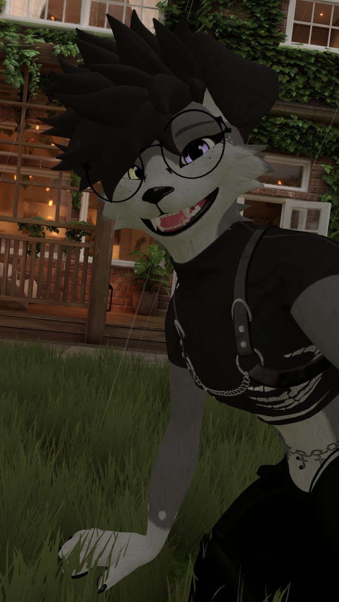ShebaTheRaccy's tweet photo. This is your friendly reminder to touch grass :D https://t.co/p1MP2pFjck
