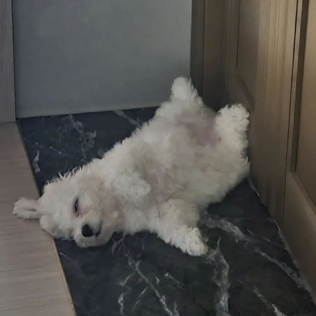 𝑖𝑛𝑔 tweet media